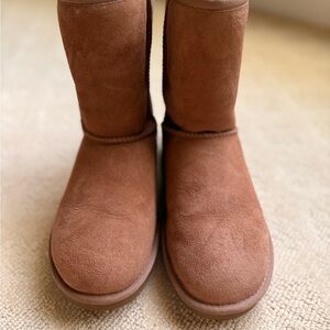 Ugg Brown Suede